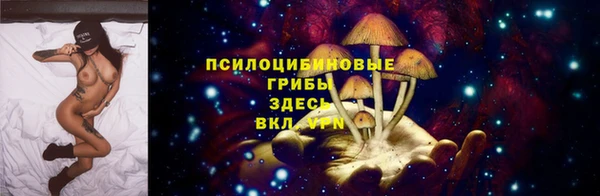 твердый Медногорск
