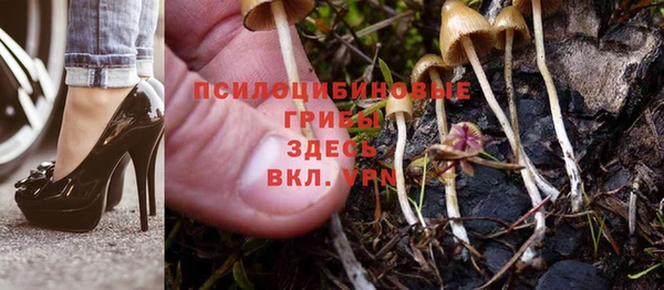 твердый Медногорск