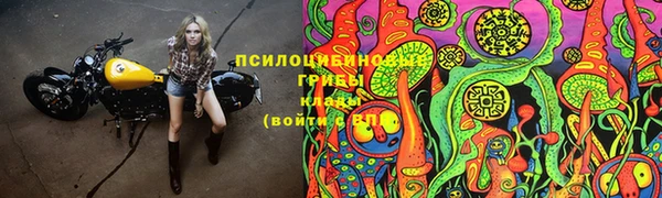мяу мяу мука Михайлов