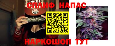 дмт Камышлов