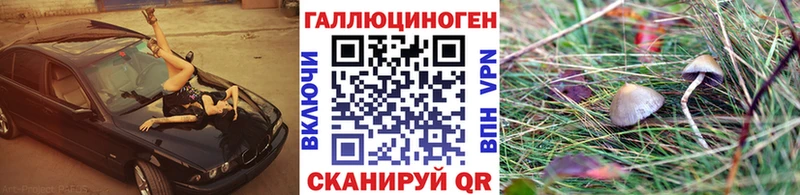 ОМГ ОМГ tor  Зеленодольск  Псилоцибиновые грибы прущие грибы  цена наркотик 