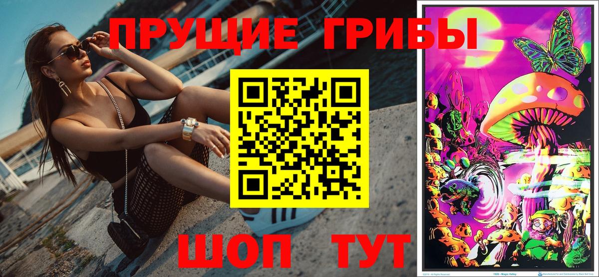 магазин    Псилоцибиновые грибы Psilocybe  Зеленодольск  Псилоцибиновые грибы Psilocybine cubensis 