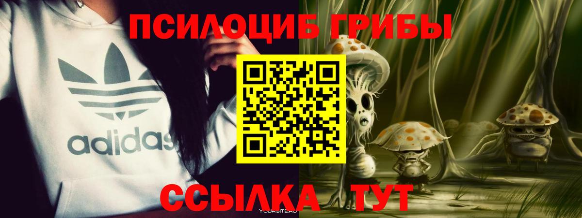 Псилоцибиновые грибы мухоморы  Вход с VPN  Зеленодольск 